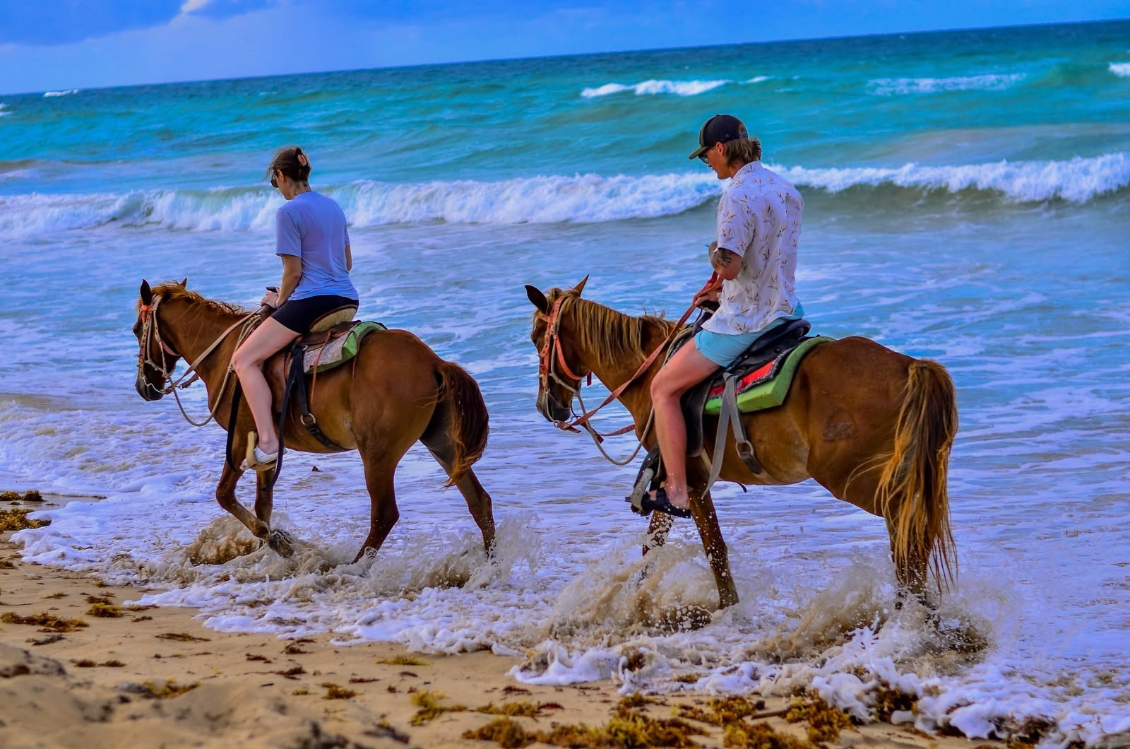 Horseback riding โ Punta Cana tour, 2:30 mnt